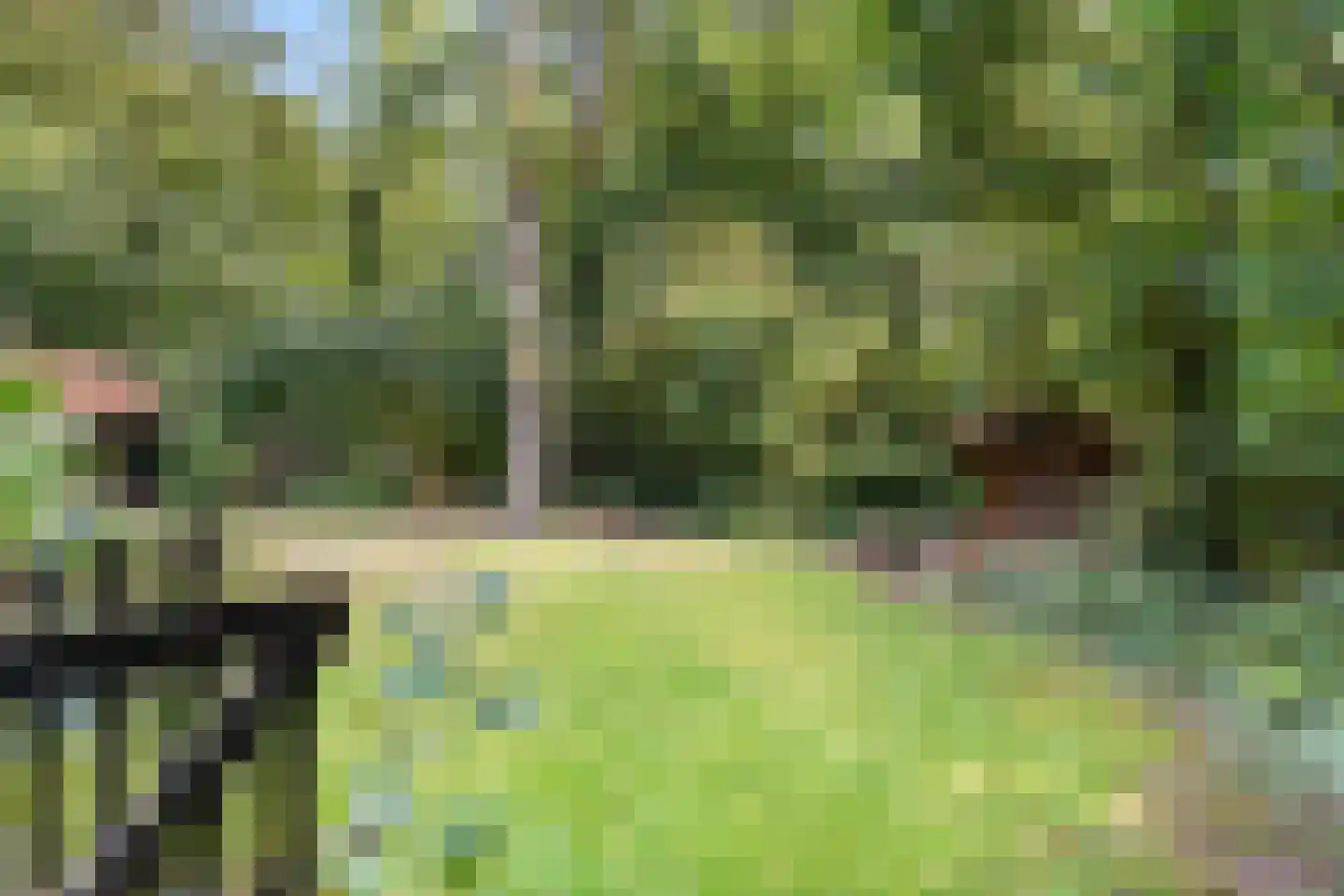 Wilhelminastraat 29 Westerbork thumbnail 38