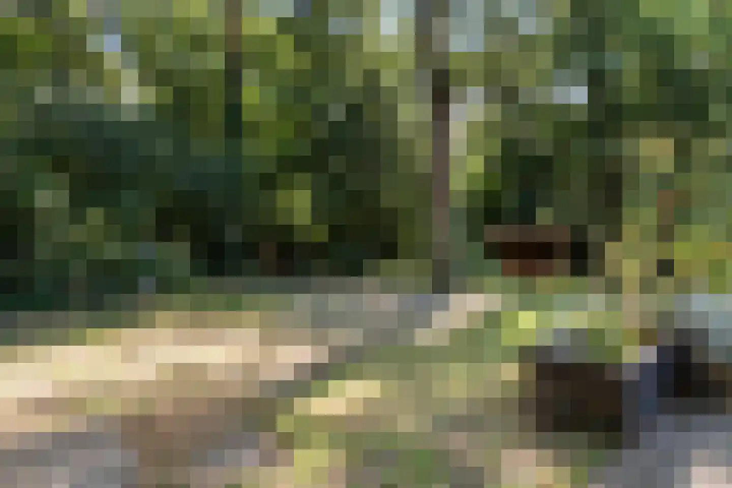 Wilhelminastraat 29 Westerbork thumbnail 42