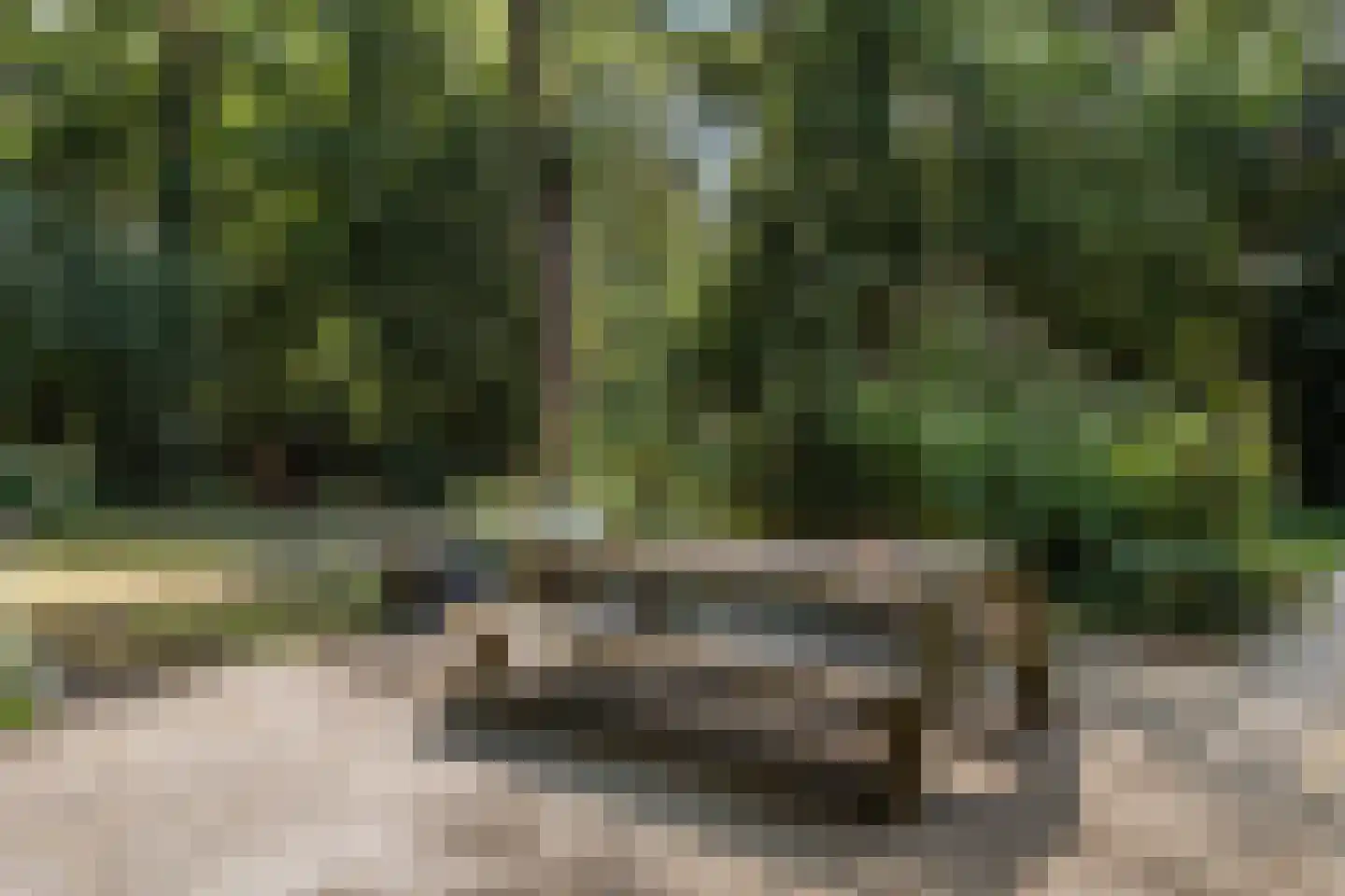 Wilhelminastraat 29 Westerbork thumbnail 43
