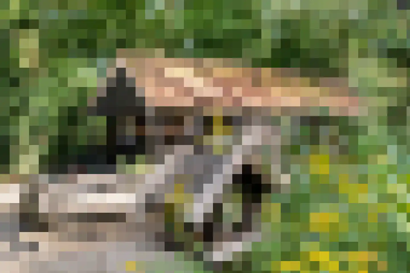 Wilhelminastraat 29 Westerbork thumbnail 44