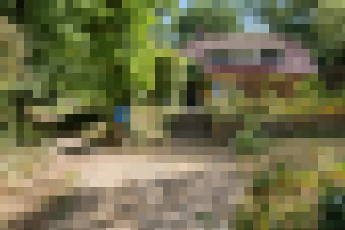 Wilhelminastraat 29 Westerbork thumbnail 47