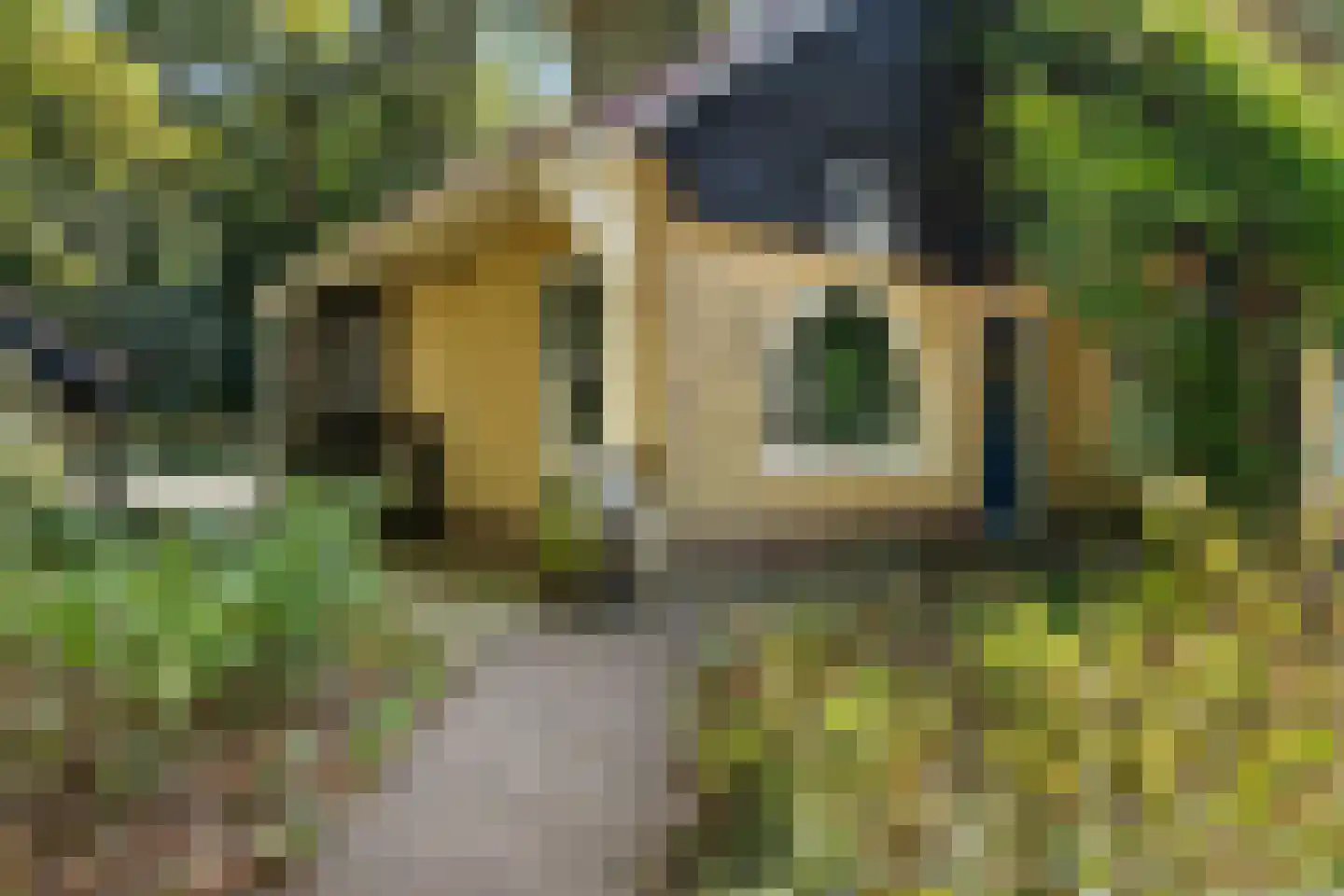 Wilhelminastraat 29 Westerbork thumbnail 49