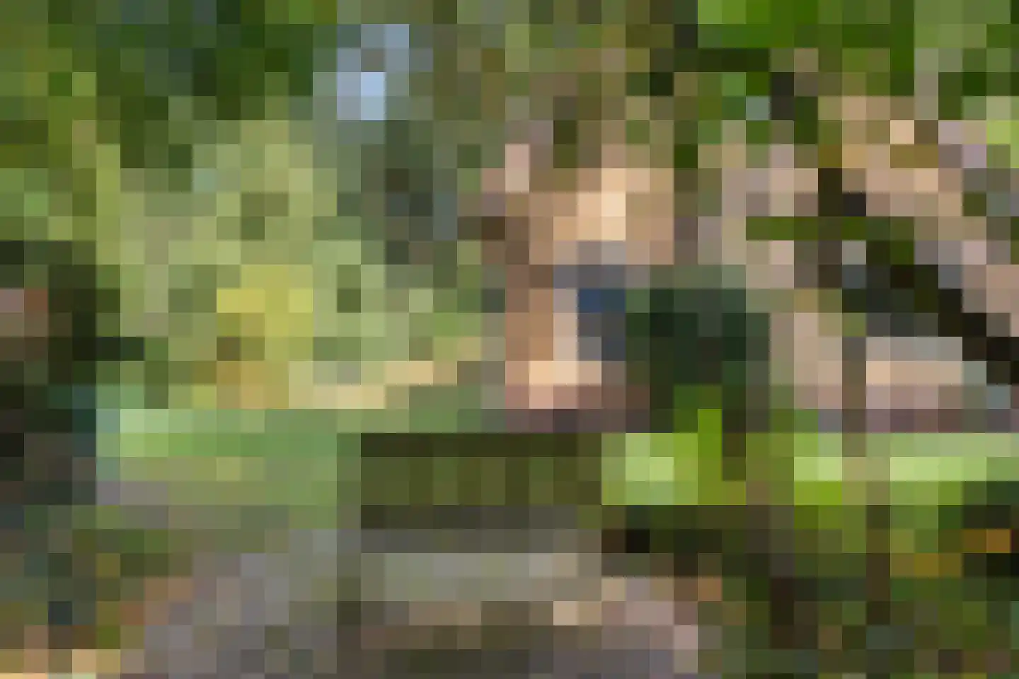 Wilhelminastraat 29 Westerbork thumbnail 51