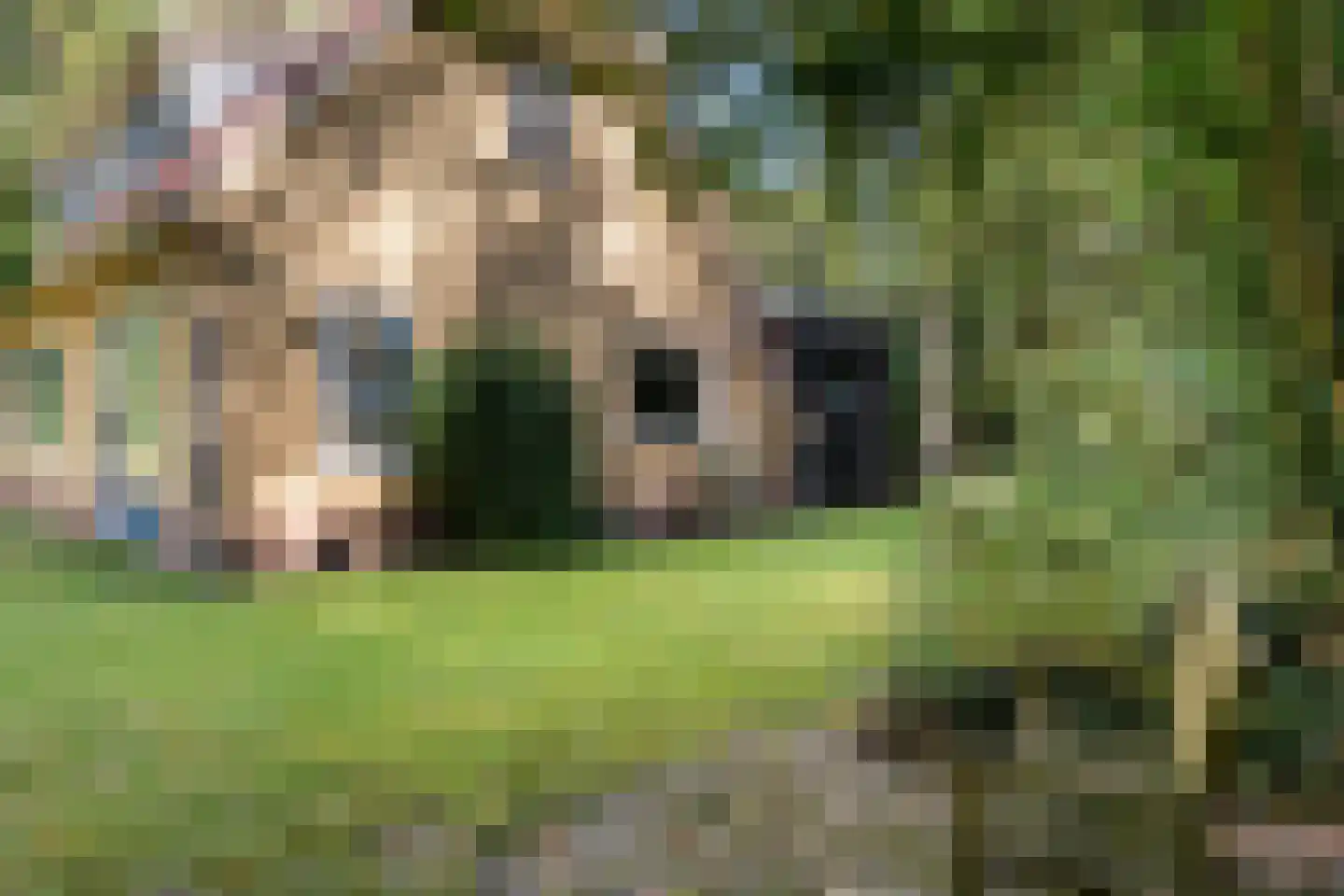 Wilhelminastraat 29 Westerbork thumbnail 52