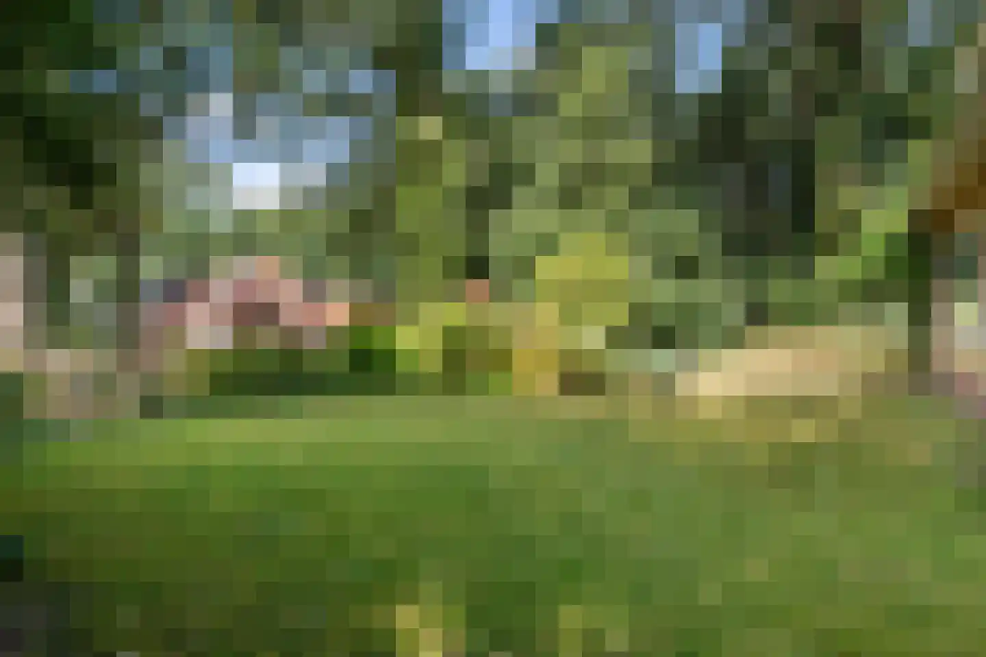 Wilhelminastraat 29 Westerbork thumbnail 53
