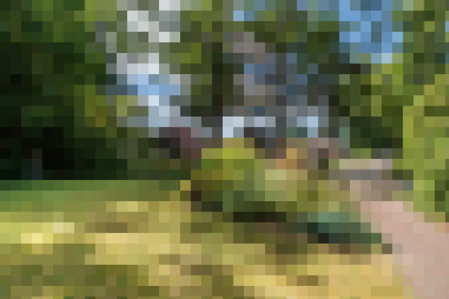 Wilhelminastraat 29 Westerbork thumbnail 54