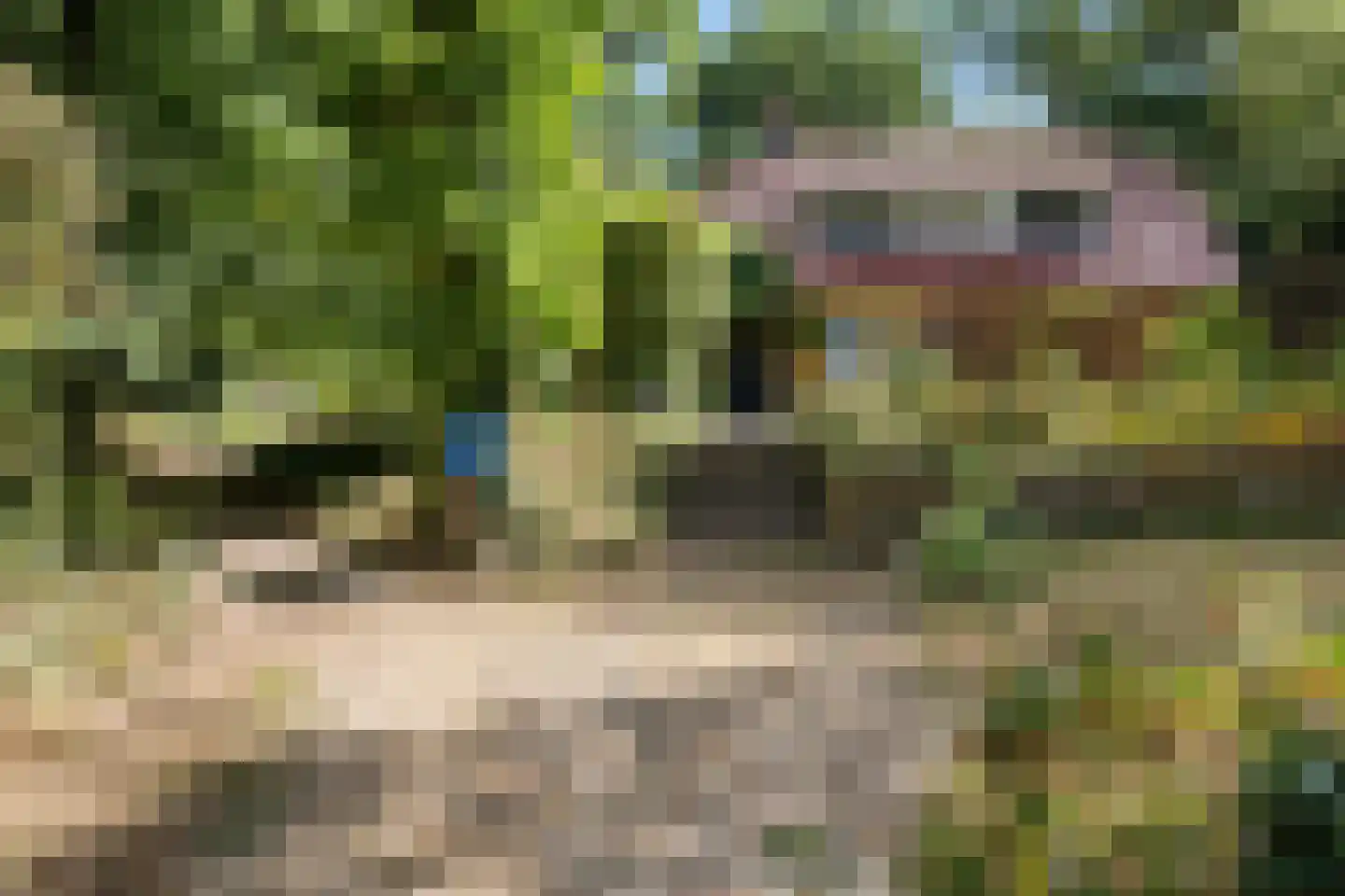 Wilhelminastraat 29 Westerbork thumbnail 55