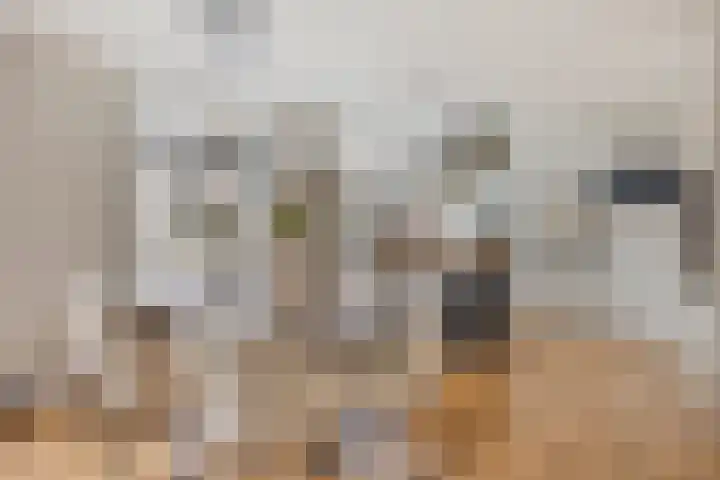 Wilhelminastraat 3 c Bodegraven thumbnail 10