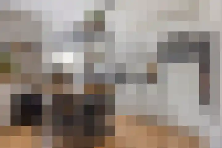 Wilhelminastraat 3 c Bodegraven thumbnail 11