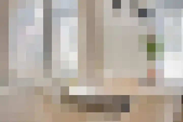 Wilhelminastraat 3 c Bodegraven thumbnail 13