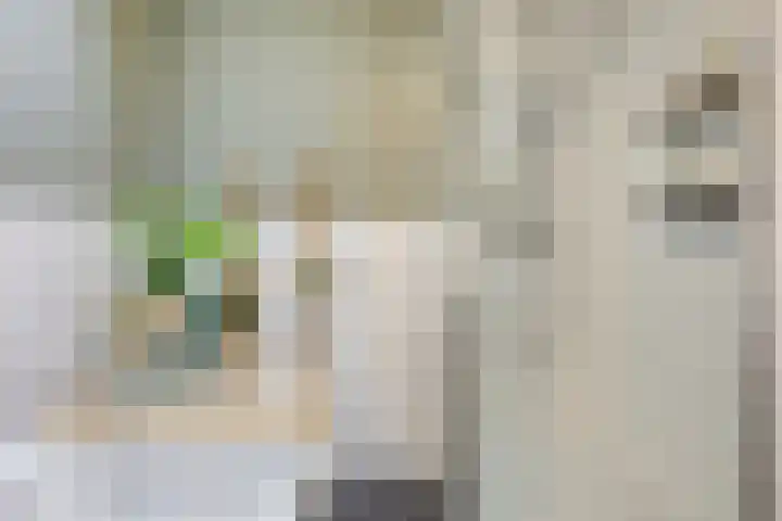 Wilhelminastraat 3 c Bodegraven thumbnail 16