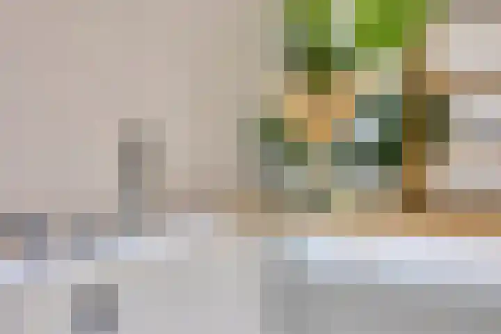 Wilhelminastraat 3 c Bodegraven thumbnail 18