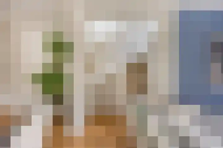 Wilhelminastraat 3 c Bodegraven thumbnail 21