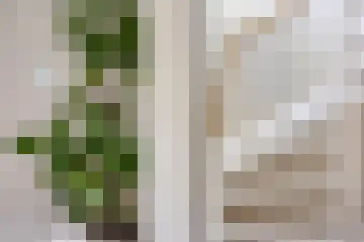 Wilhelminastraat 3 c Bodegraven thumbnail 22