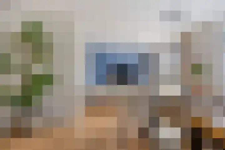 Wilhelminastraat 3 c Bodegraven thumbnail 6