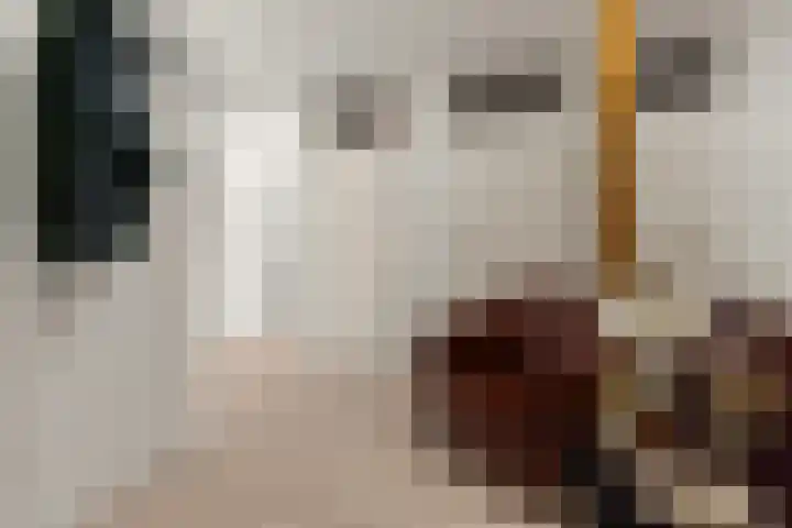Wilhelminastraat 3 c Velp thumbnail 11