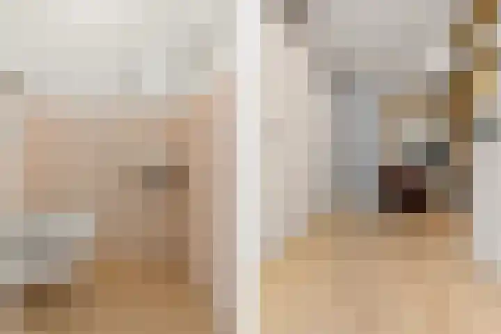 Wilhelminastraat 3 c Velp thumbnail 12
