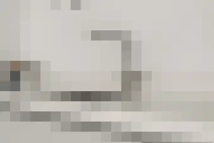 Wilhelminastraat 3 c Velp thumbnail 16