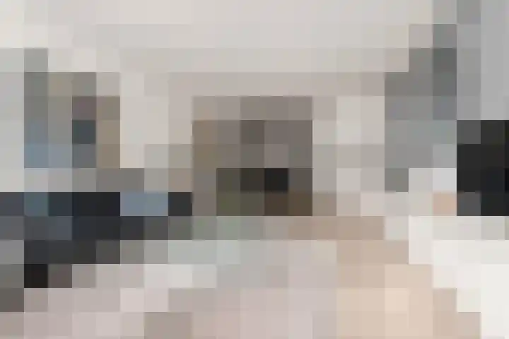Wilhelminastraat 3 c Velp thumbnail 18