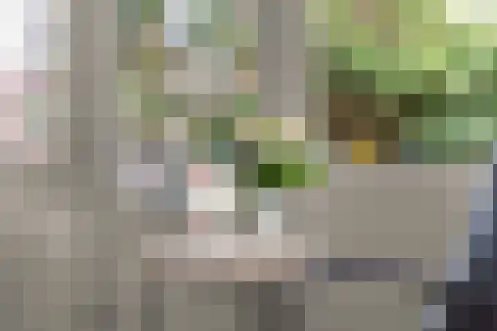 Wilhelminastraat 3 c Velp thumbnail 21
