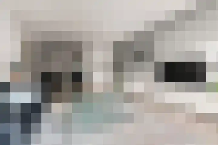 Wilhelminastraat 3 c Velp thumbnail 23