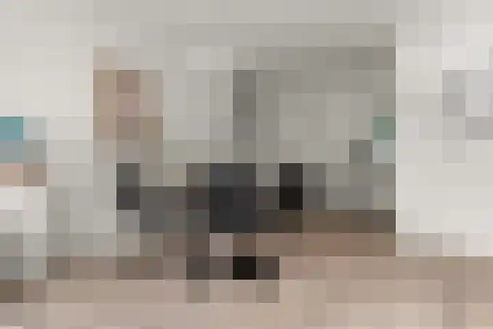 Wilhelminastraat 3 c Velp thumbnail 24