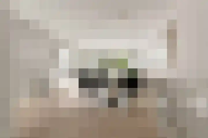 Wilhelminastraat 3 c Velp thumbnail 26