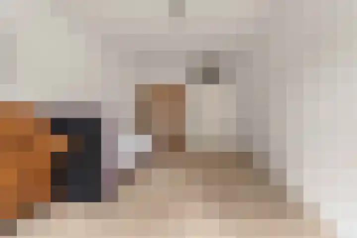 Wilhelminastraat 3 c Velp thumbnail 28