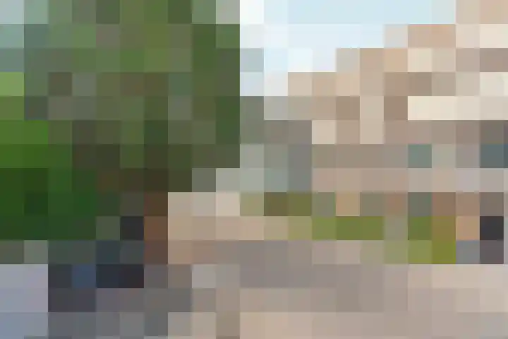 Wilhelminastraat 3 c Velp thumbnail 39