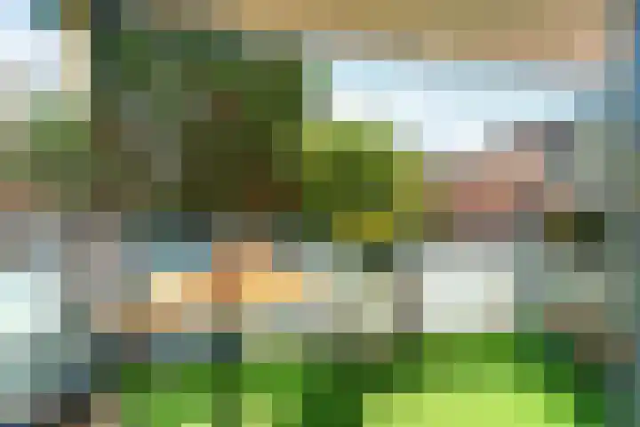 Wilhelminastraat 3 c Velp thumbnail 4