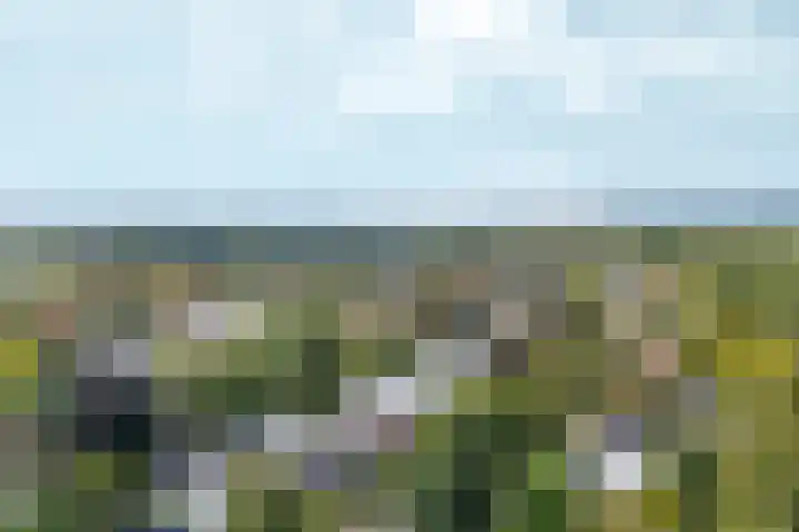 Wilhelminastraat 3 c Velp thumbnail 40