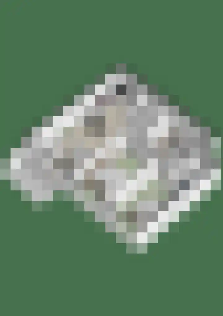 Wilhelminastraat 3 c Velp thumbnail 44