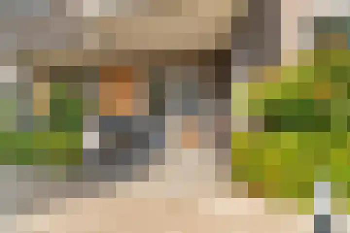Wilhelminastraat 3 c Velp thumbnail 6