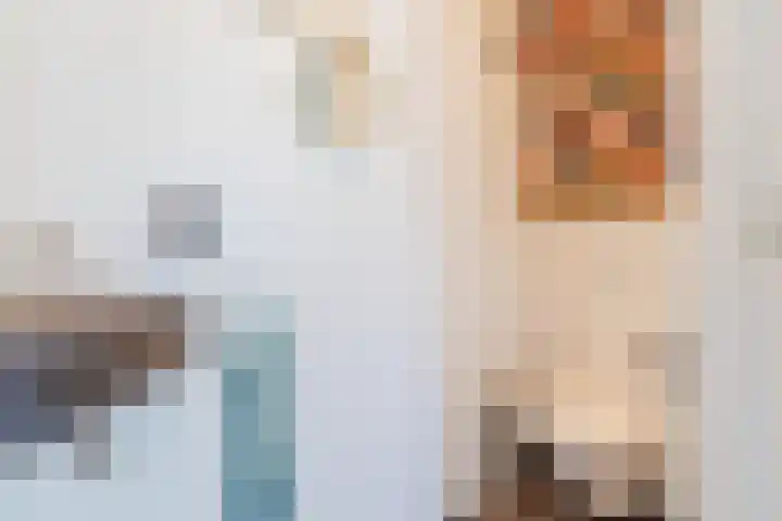 Wilhelminastraat 3 Grave thumbnail 17