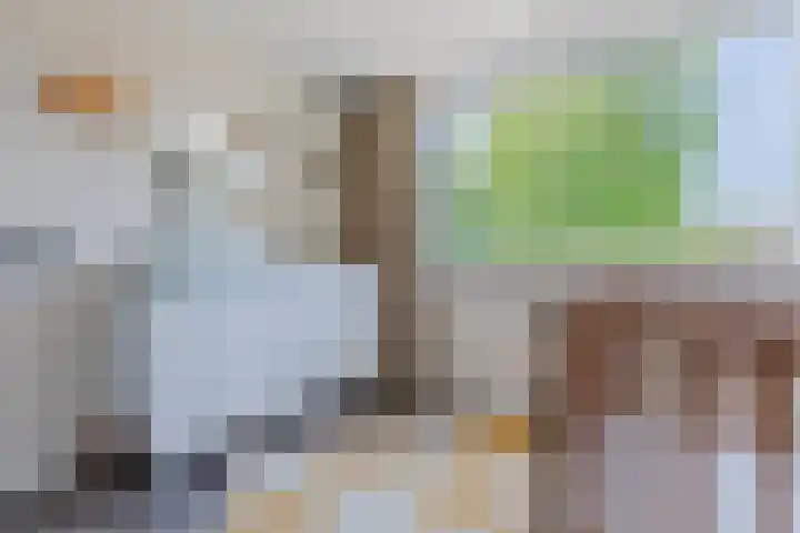 Wilhelminastraat 3 Grave thumbnail 24