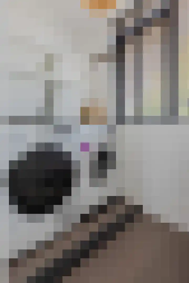 Wilhelminastraat 3 Grave thumbnail 27