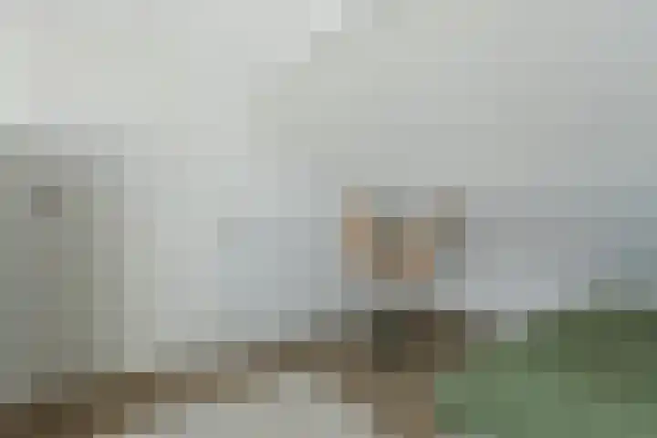 Wilhelminastraat 3 Grave thumbnail 34
