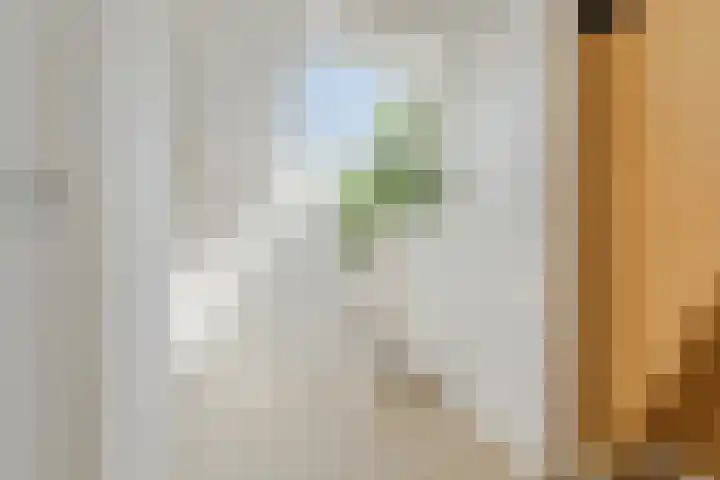 Wilhelminastraat 3 Grave thumbnail 37