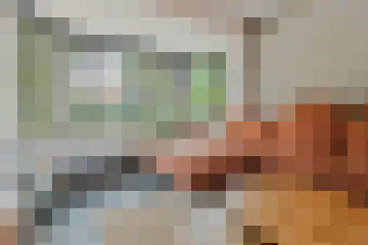 Wilhelminastraat 3 Grave thumbnail 7