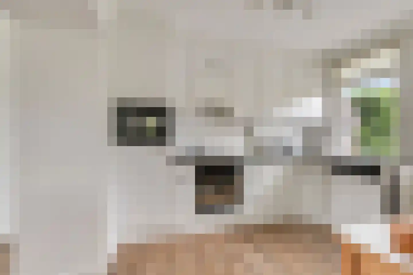 Wilhelminastraat 3 Huissen thumbnail 10