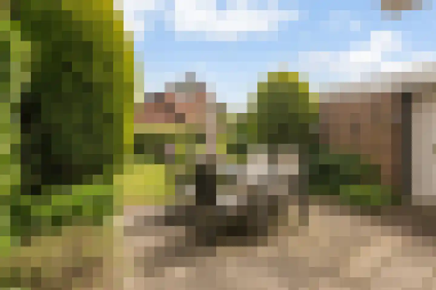 Wilhelminastraat 3 Huissen thumbnail 12