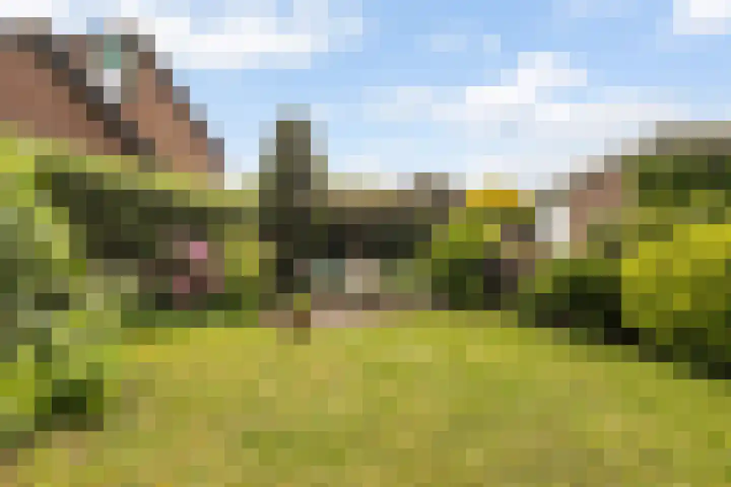 Wilhelminastraat 3 Huissen thumbnail 13