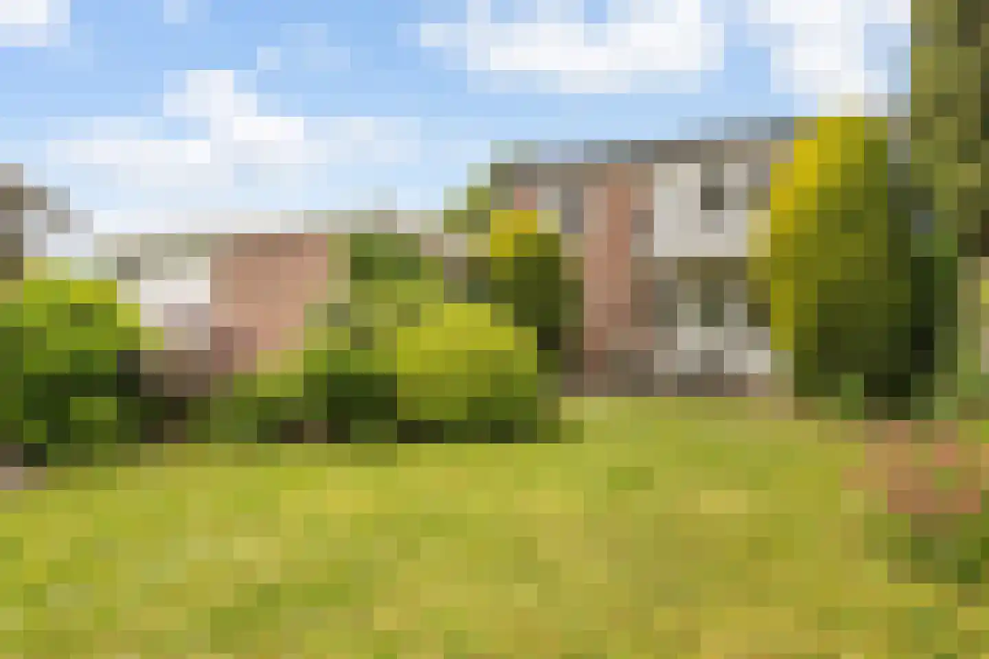 Wilhelminastraat 3 Huissen thumbnail 14