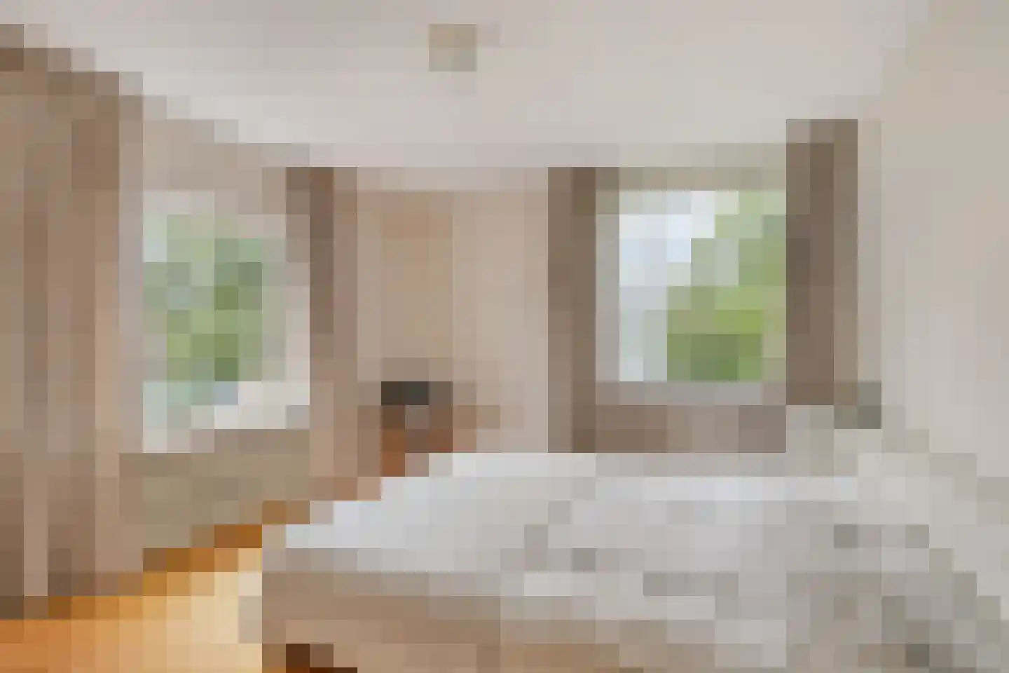 Wilhelminastraat 3 Huissen thumbnail 17