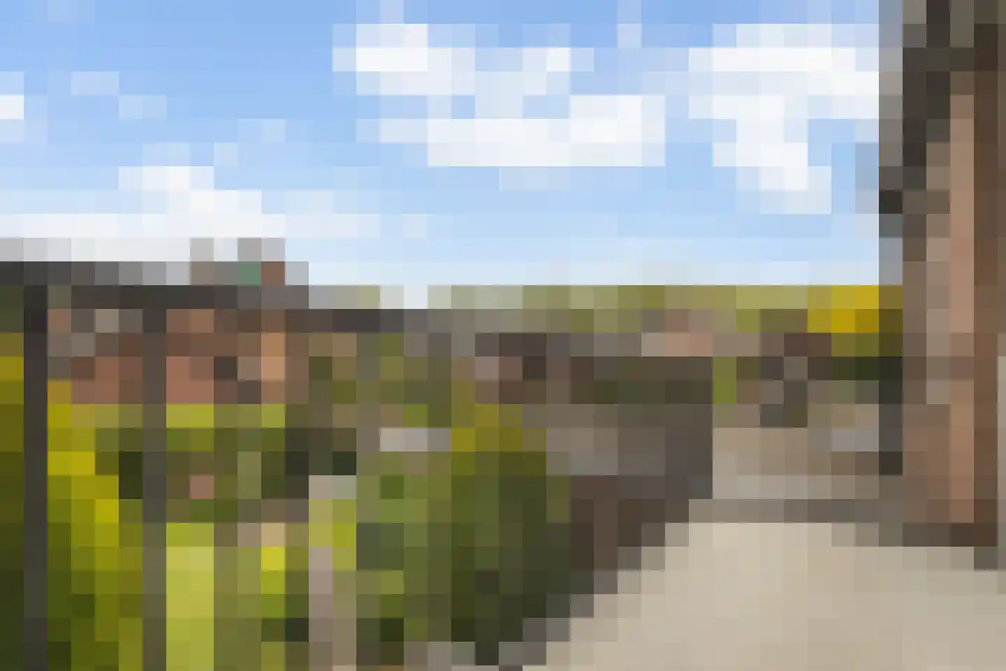 Wilhelminastraat 3 Huissen thumbnail 24