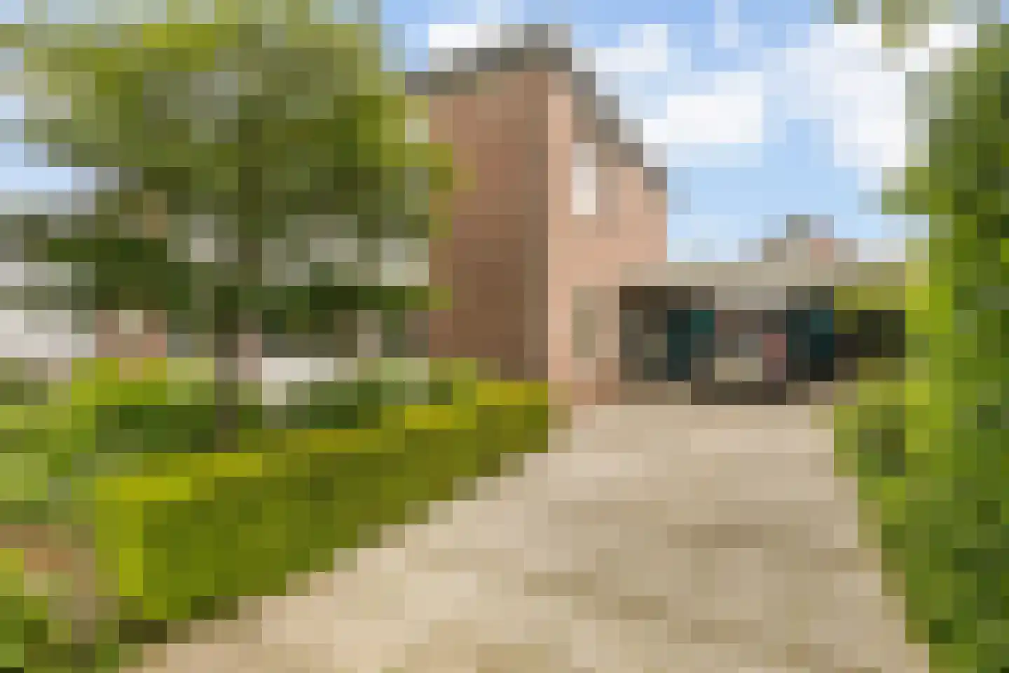 Wilhelminastraat 3 Huissen thumbnail 4
