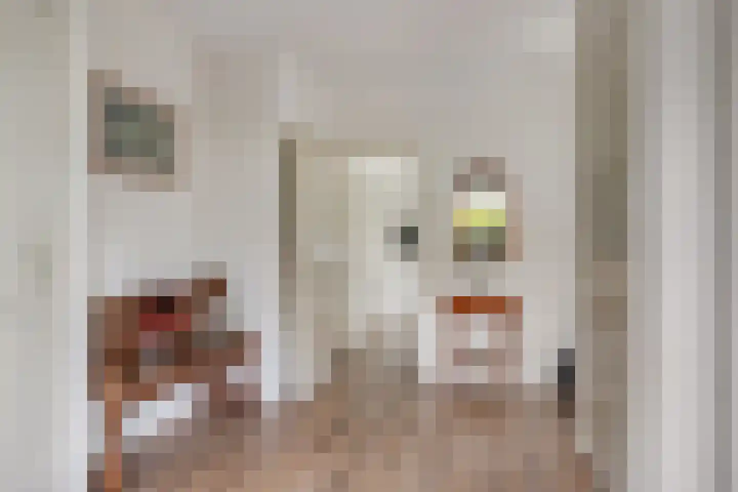 Wilhelminastraat 3 Huissen thumbnail 5