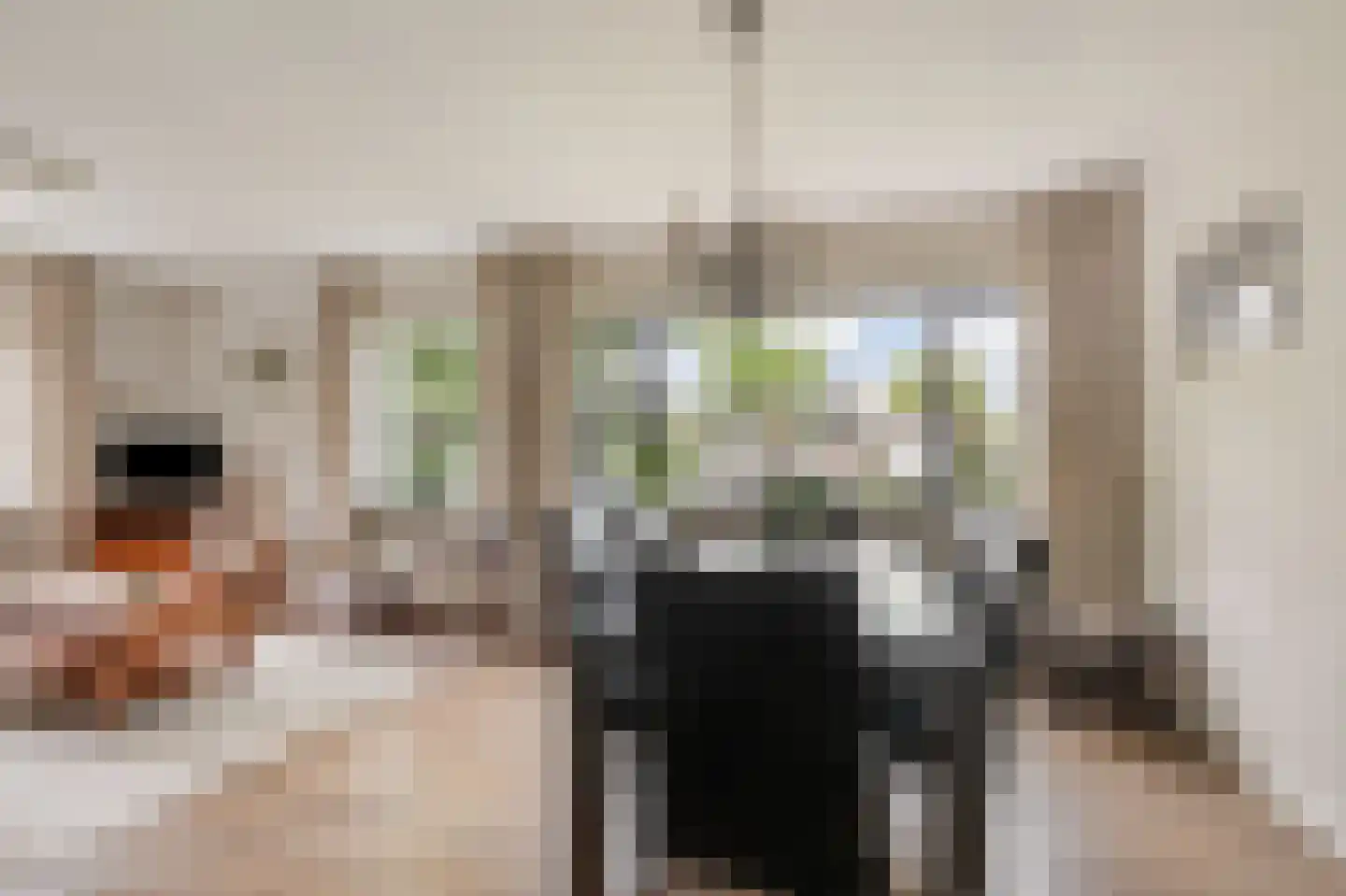 Wilhelminastraat 3 Huissen thumbnail 6