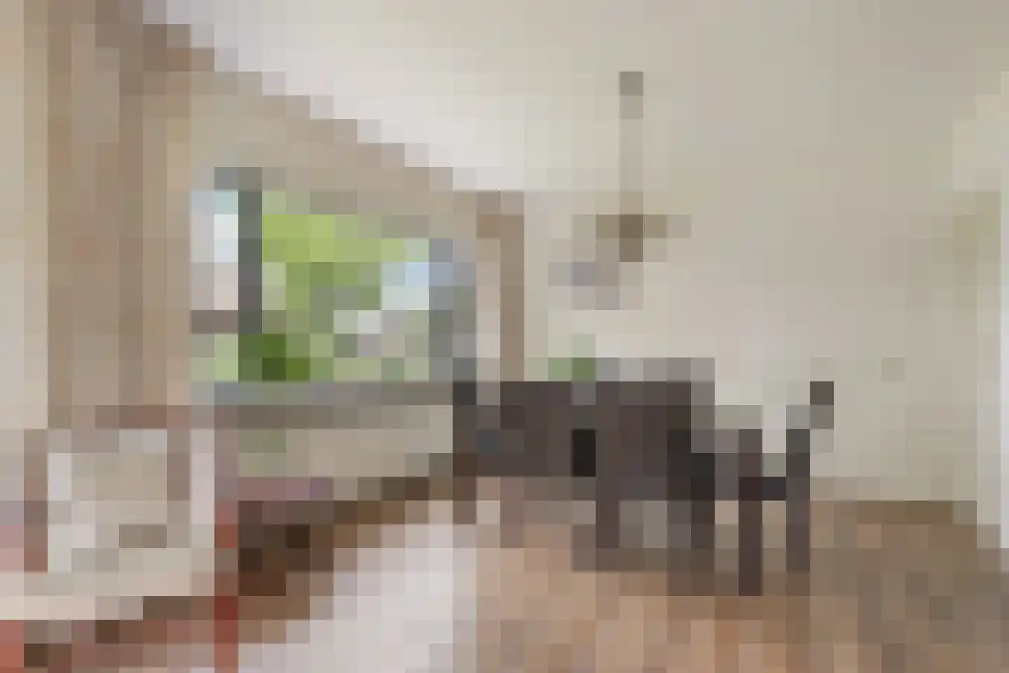 Wilhelminastraat 3 Huissen thumbnail 9