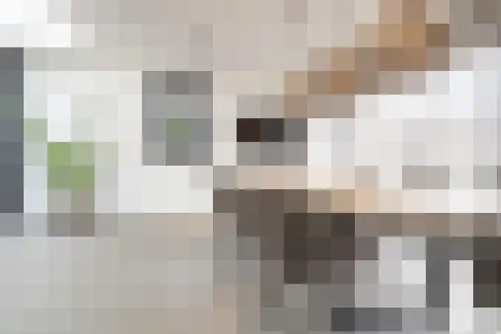 Wilhelminastraat 3 Nistelrode thumbnail 11